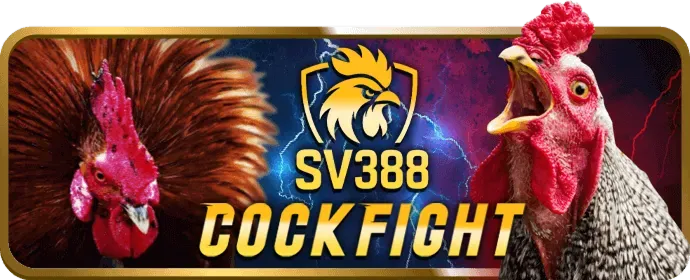 Đá Gà Thomo Campuchia